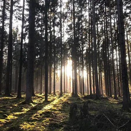 Ferienwohnung Firmenich Apartment Schwirzheim