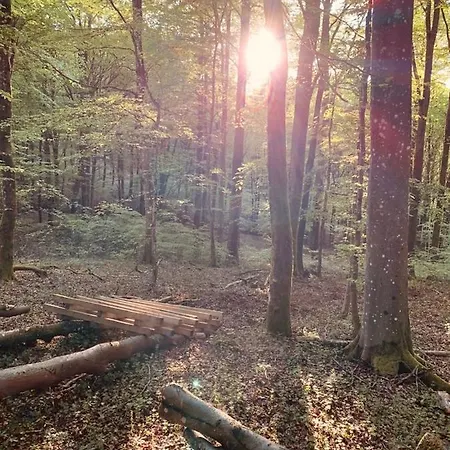 Apartment Ferienwohnung Firmenich *