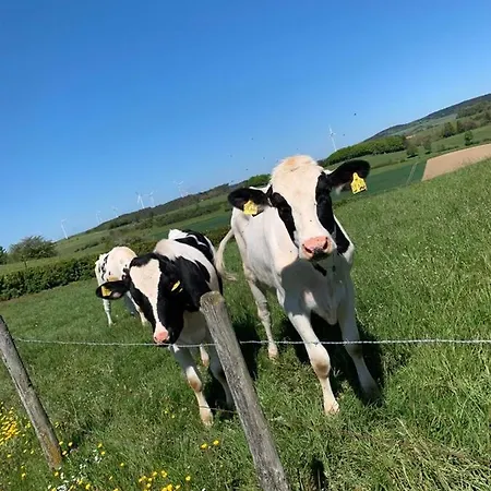 Ferienwohnung Firmenich Schwirzheim