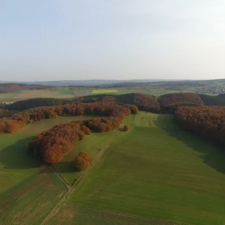 Apartment Ferienwohnung Firmenich *